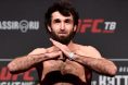 Zabit Magomedsharipov on the scale at a ceremonial weigh-in