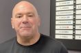 Dana White