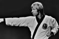 Chuck Norris, Martial Arts, MMA, UFC