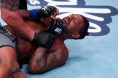 Michael Johnson UFC 326 loss