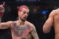 Sean O'Malley, UFC
