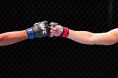 UFC Seattle gloves