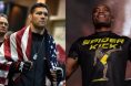 Chris Weidman and Anderson Silva