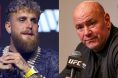 Jake Paul and Dana White