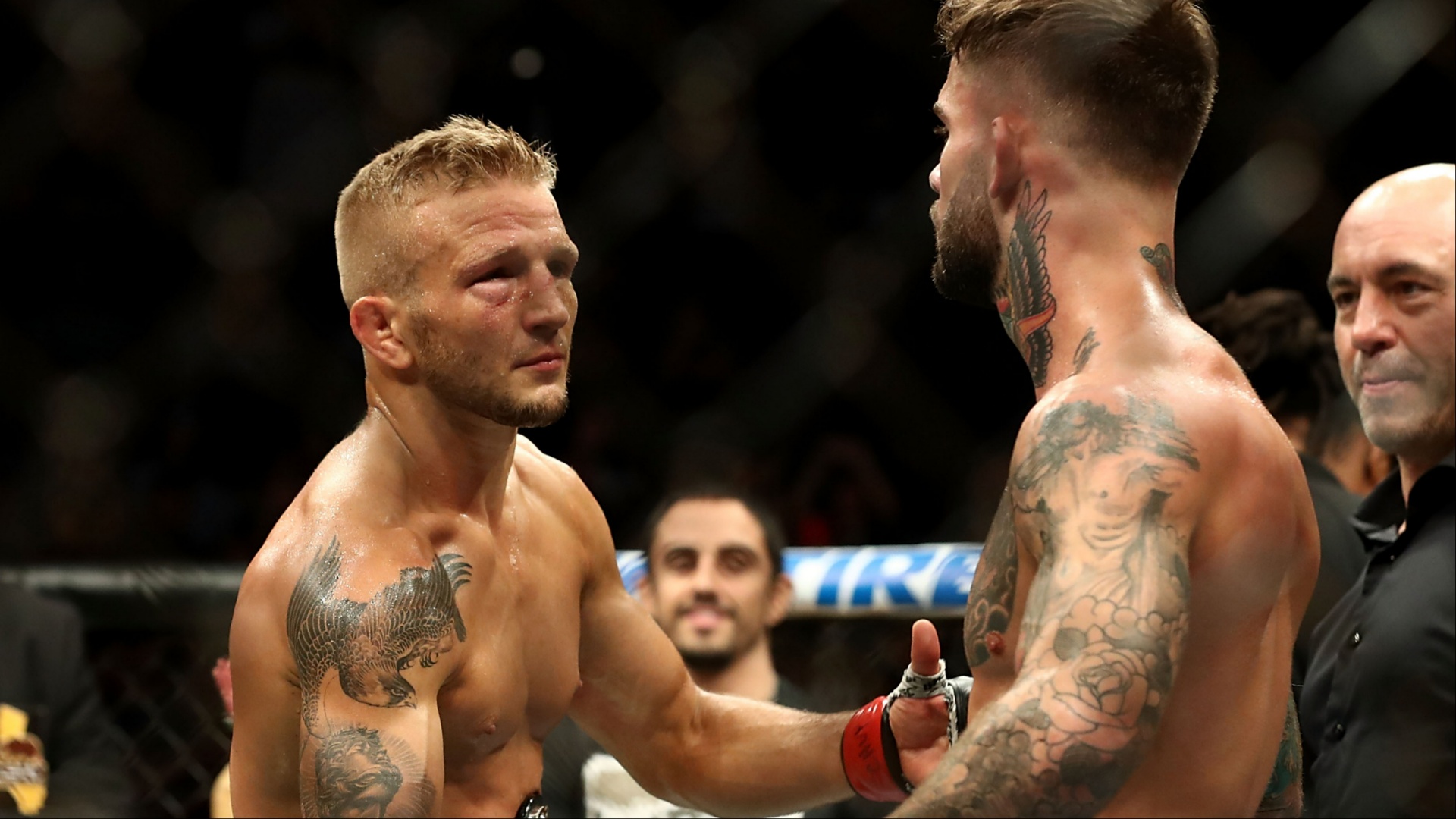 TJ Dillashaw ‘depressed’ by two-time rival Cody Garbrandt’s latest KO loss at UFC 329