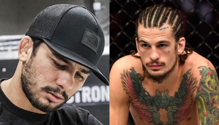 Sean O'Malley claims he knocked out Alexandre Pantoja in sparring | BJPenn.com