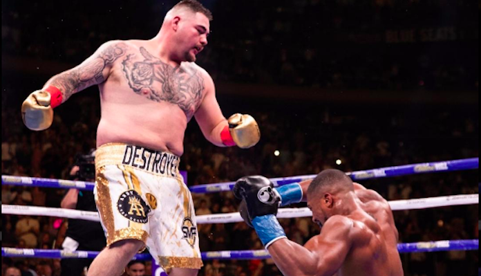 Image result for andy ruiz