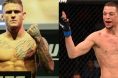 Dustin Poirier Nate Diaz