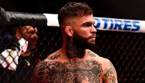 Cody Garbrandt, TJ Dillashaw