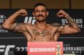 Cub-Swanson