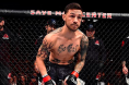 Cub Swanson