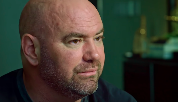 Dana White, UFC, Florida, UFC 249