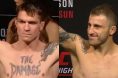 Darren Elkins, Alexander Volkanovski. jpg