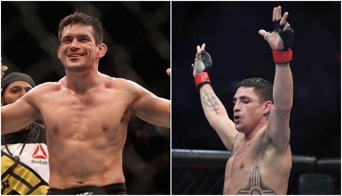 Demian-Maia-Diego-Sanchez