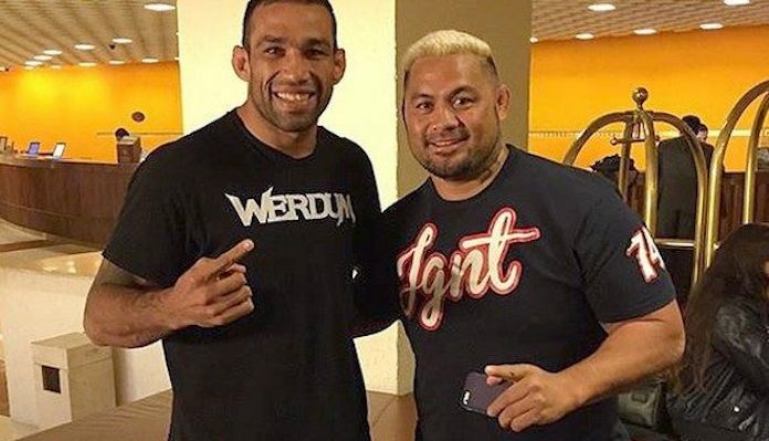 Fabricio Werdum, Mark Hunt