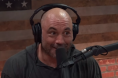 Joe Rogan, Dillon Danis, Jake Paul