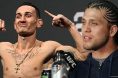 Max Holloway, Brian Ortega