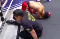 Ref KO'd by fighter