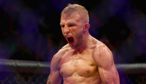 TJ Dillashaw, Henry Cejudo, UFC Brooklyn