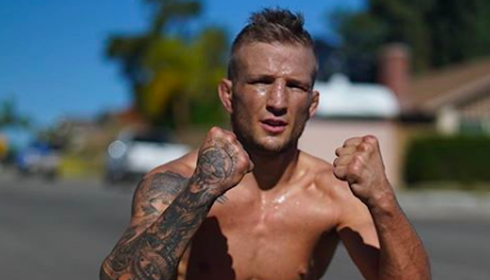 TJ Dillashaw