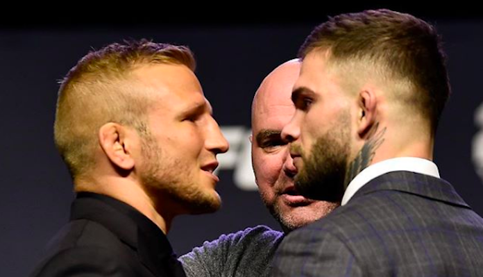 TJ Dillashaw, Cody Garbrandt, UFC 227