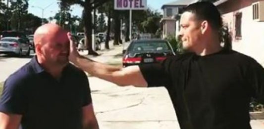 nate-diaz-dana-white