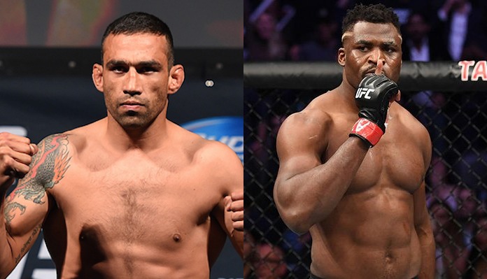 Fabricio Werdum, Francis Ngannou